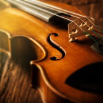 Violino